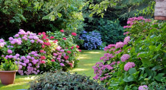 Tipps für eine effektive Gartenorganisation