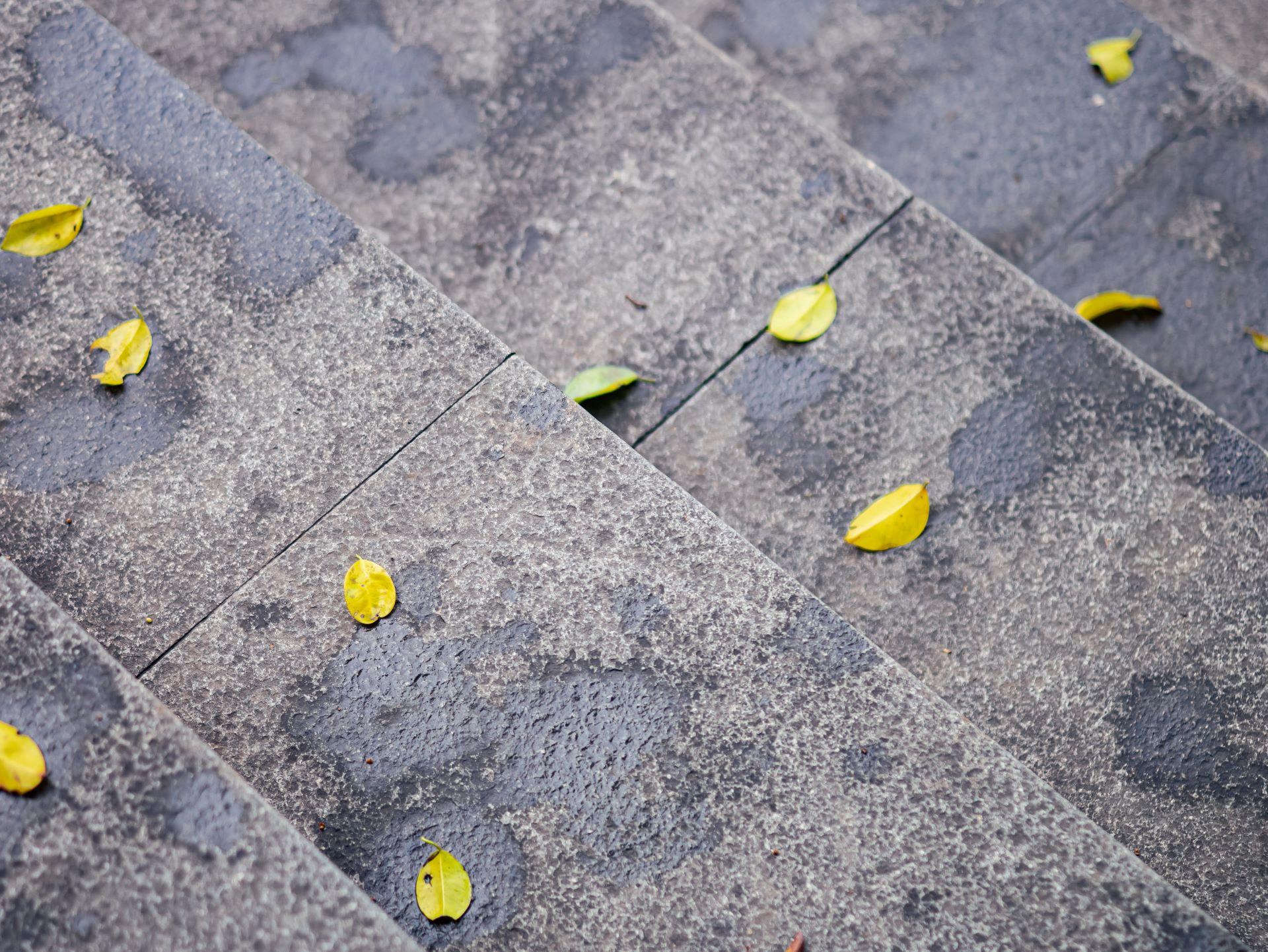 Nasse Natursteinplatten mit Herbstlaub auf Außentreppe